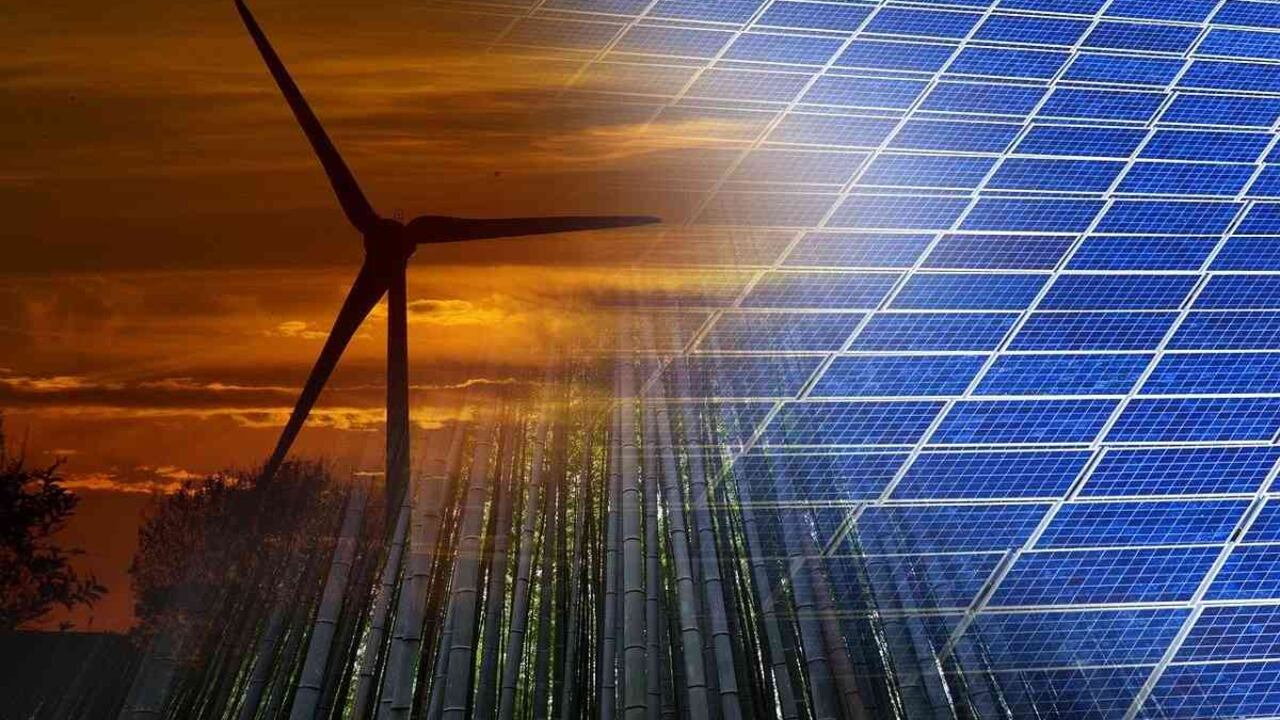 Los mercados de carbono hacen referencia a varios sectores, no solo el forestal. Foto: Pixabay