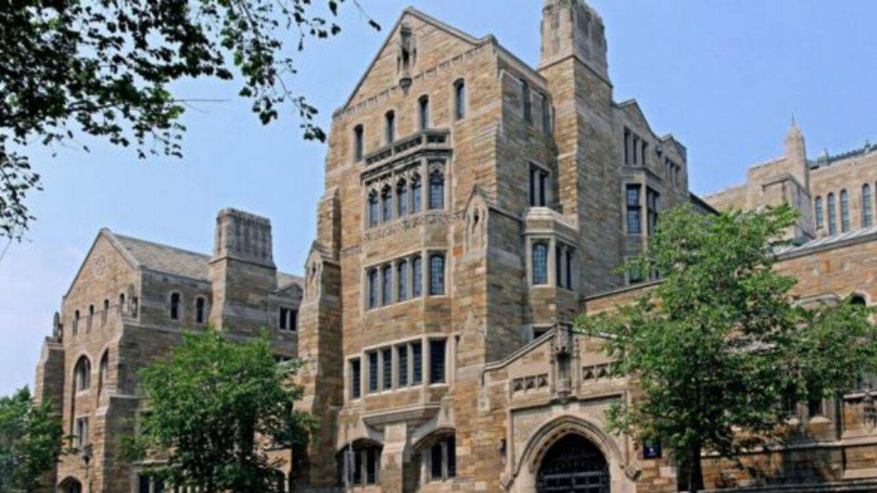 Wilson "practicó la segregación en la función pública de esta nación", dio a conocer la universidad en un comunicado.