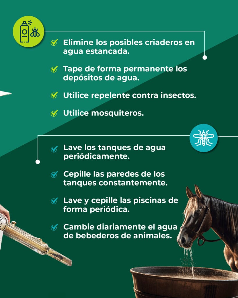 Piden extremar las medidas para evitar la proliferación del mosquito transmisor de la enfermedad