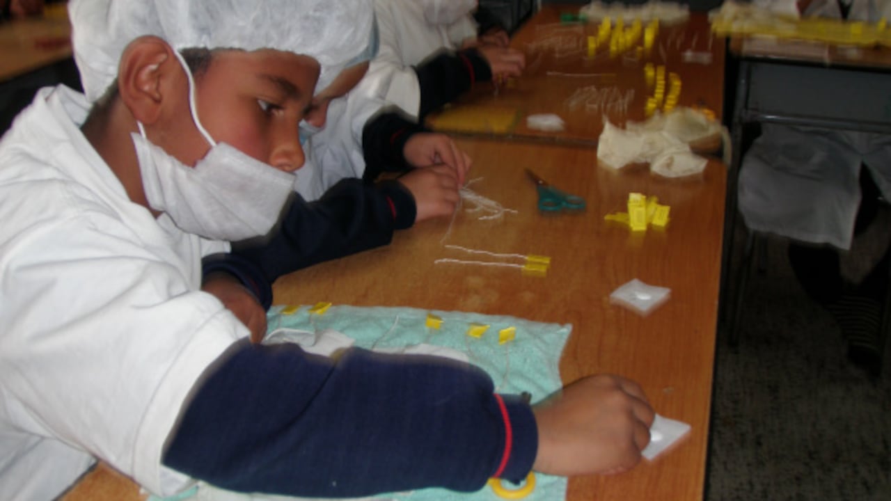 Un grupo de estudiantes trabajando en el proyecto 'Ramoncito y las plantas aromáticas'.