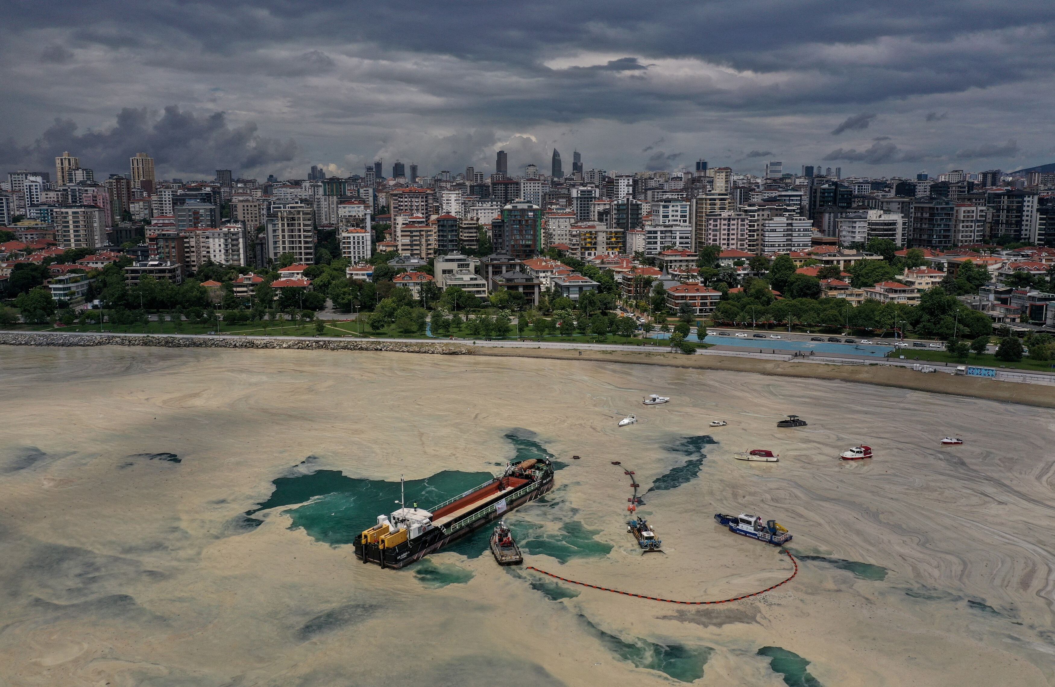 finalista del Premio Pulitzer