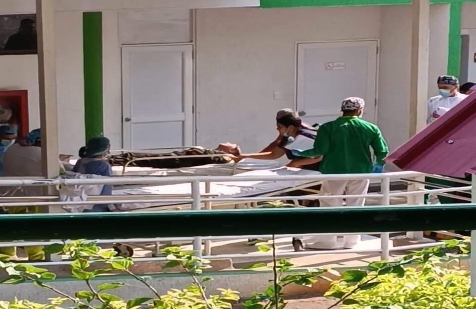 Ataque de abejas en Florencia, Caquetá