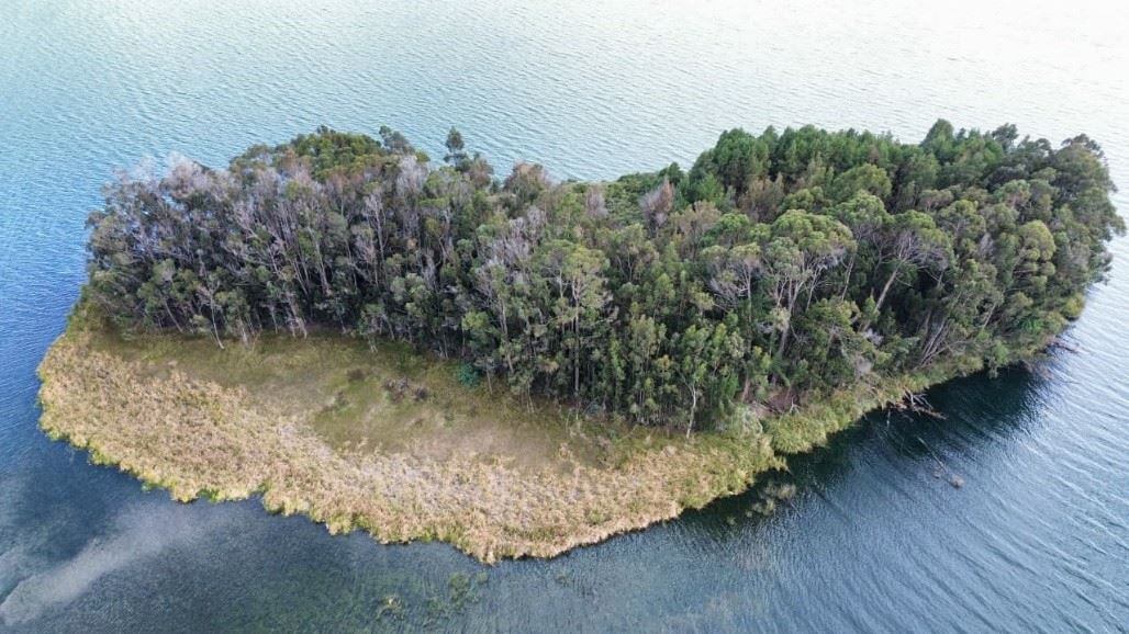 Isla Santa Helena en el Lago de Tota