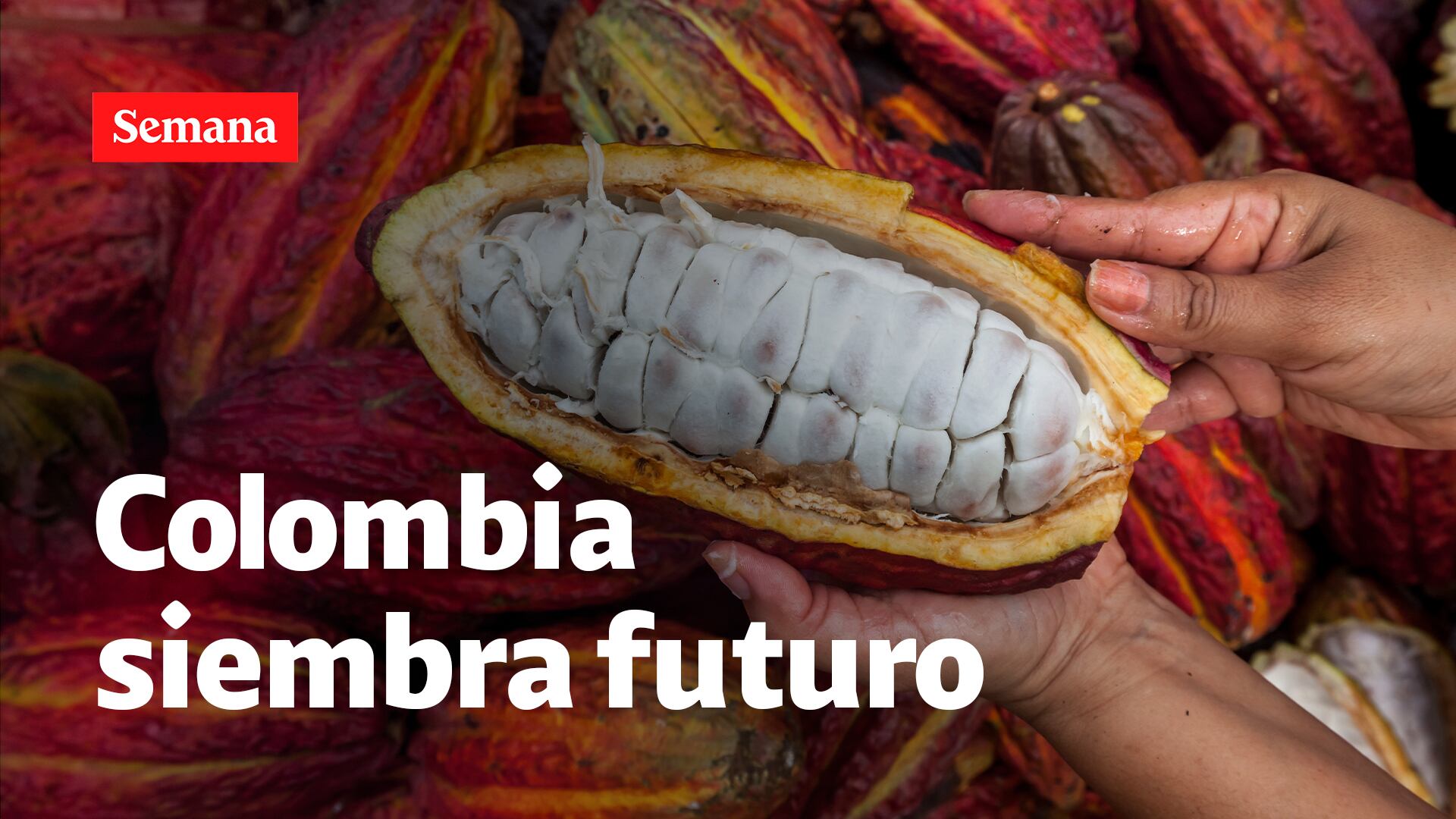 Foro Colombia Rural 2025