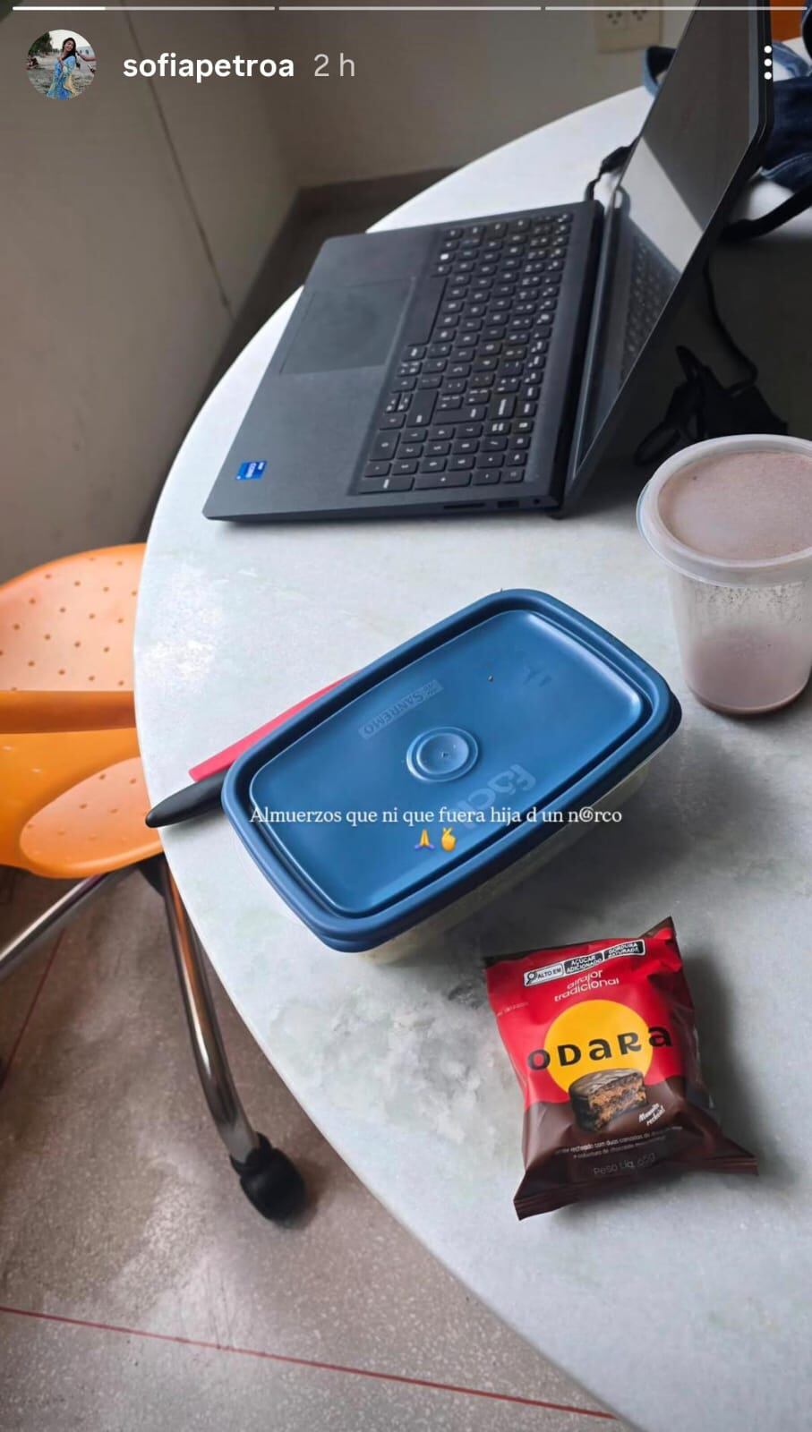 La publicación de Sofía Petro en sus historias en Instagram.