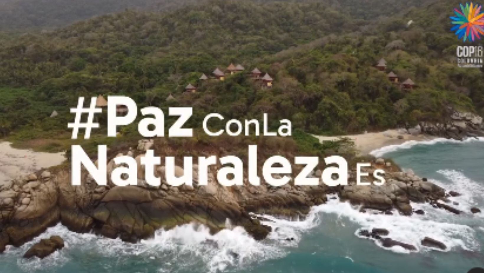 COP16 en Cali: así puede asegurar su participación en este importante evento