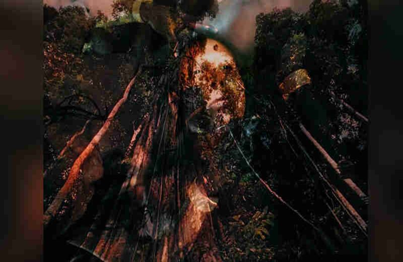 Floresta Amazónica - Claudia Andujar.