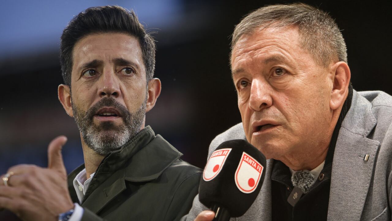 Jorge Bava habló sobre las razones de su salida de Santa Fe.