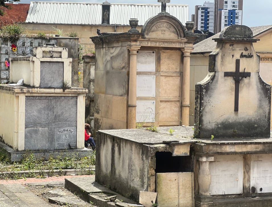 Las imágenes del deterioro en el que se encuentra el cementerio central de Bogotá, que además es monumento nacional.