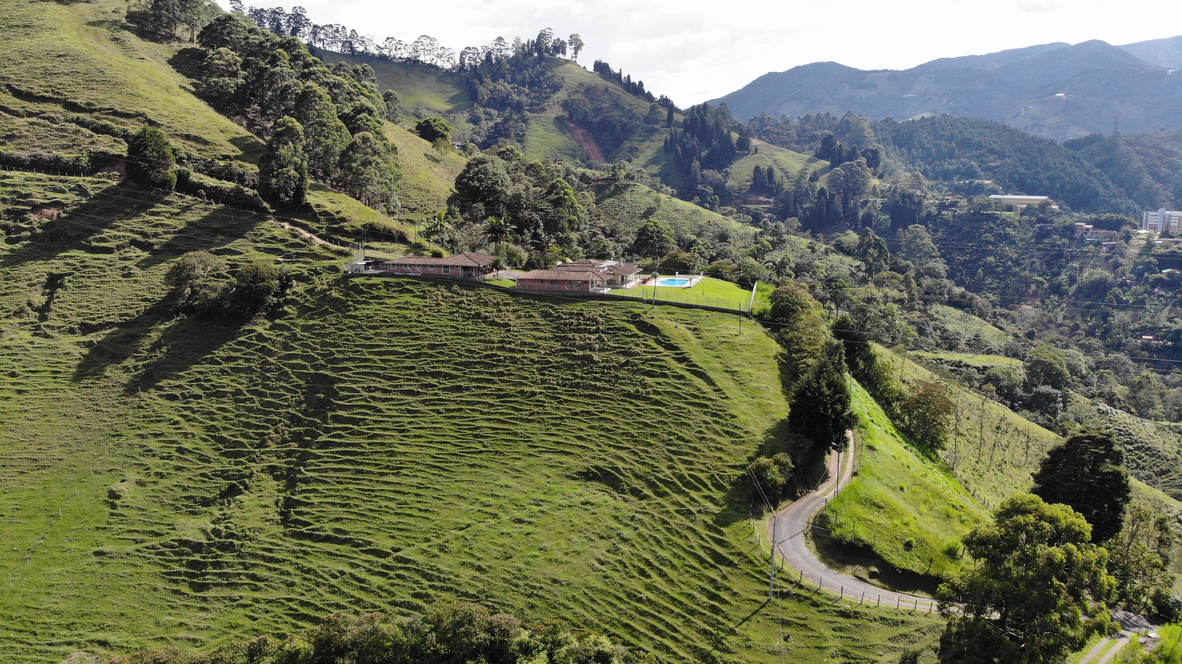 El objetivo es propiciar áreas de conservación ambiental que contribuyan con la calidad del aire que respiran los antioqueños.