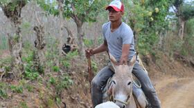 No todos los que viven en la ruralidad se identifican como campesinos. Muchos jóvenes se cuentan ahí.