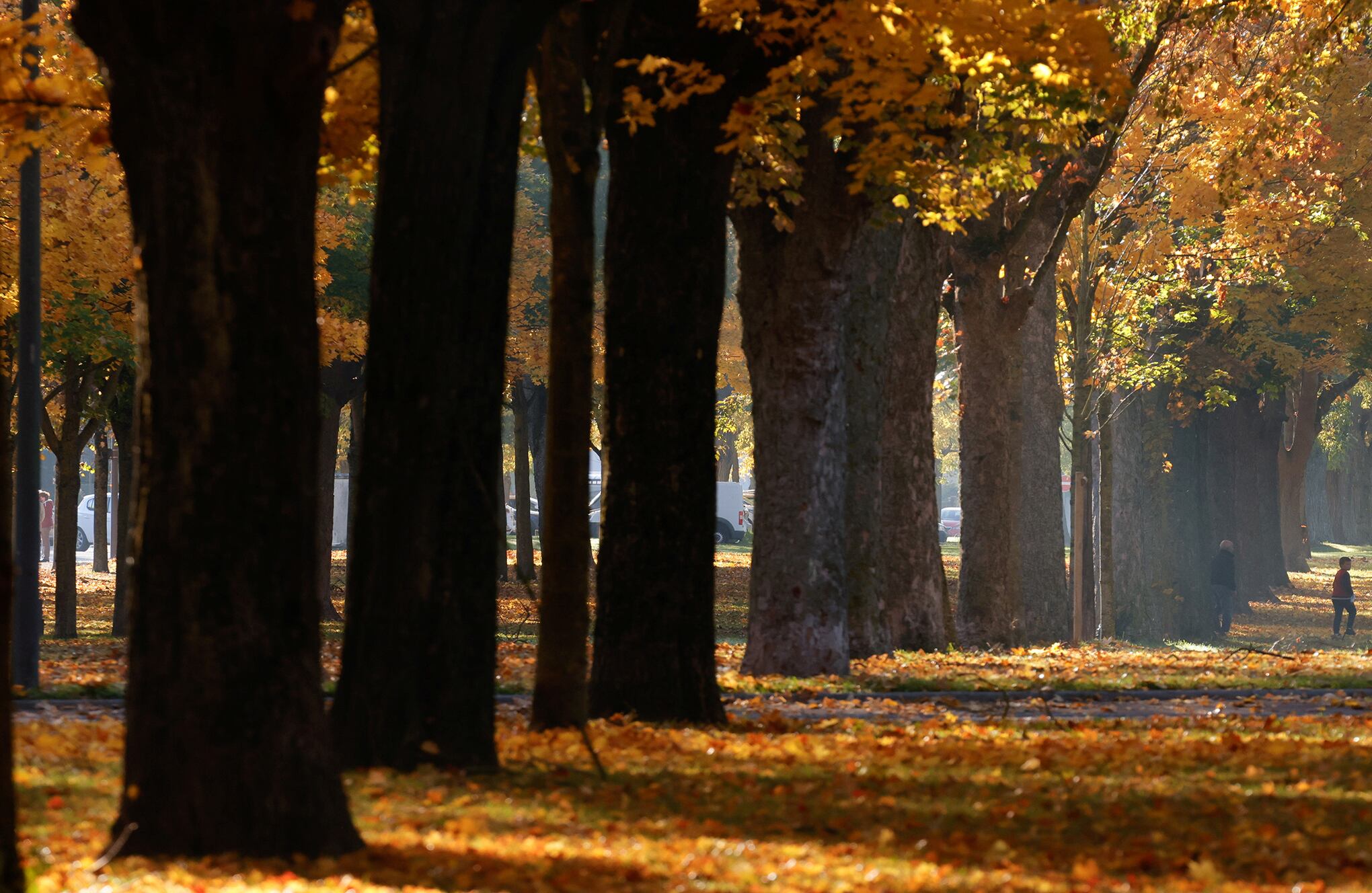 Espectaculares colores de otoño en todo el mundo.