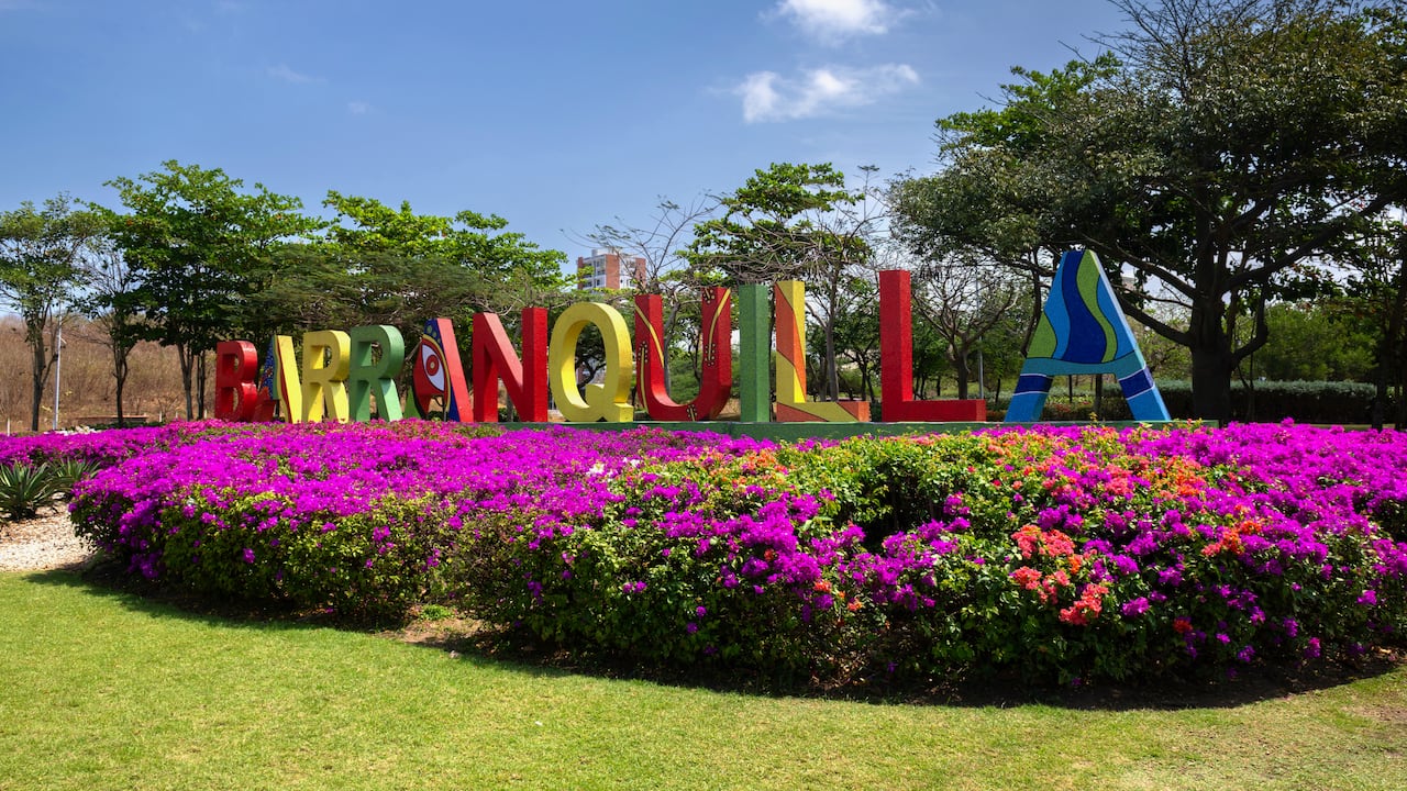 Barranquilla busca hacer frente al calor con más vegetación, sombra y soluciones urbanas que permitan refrescar sus espacios públicos.