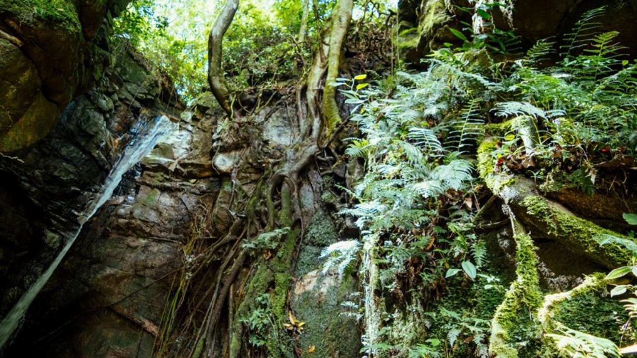 Este municipio santandereano está lleno de encantos naturales.
