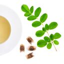 A la moringa se le atribuyen diversos beneficios para el organismo.