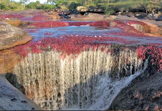 Caño Cristal es una de las riquezas naturales de la región,
un destino imperdible 
para el disfrute ecológico
