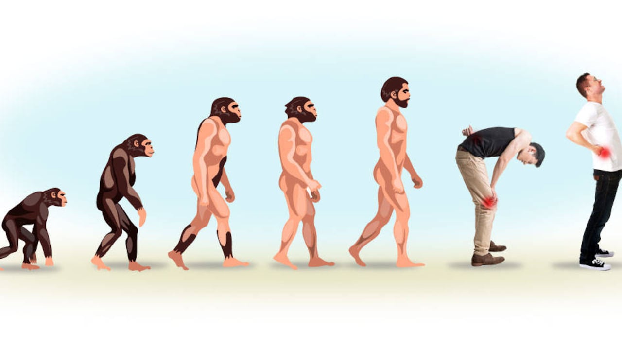 Según los expertos, la mayoría de estos defectos tienen un principal culpable: la abrupta transición de caminar en cuatro patas a dos