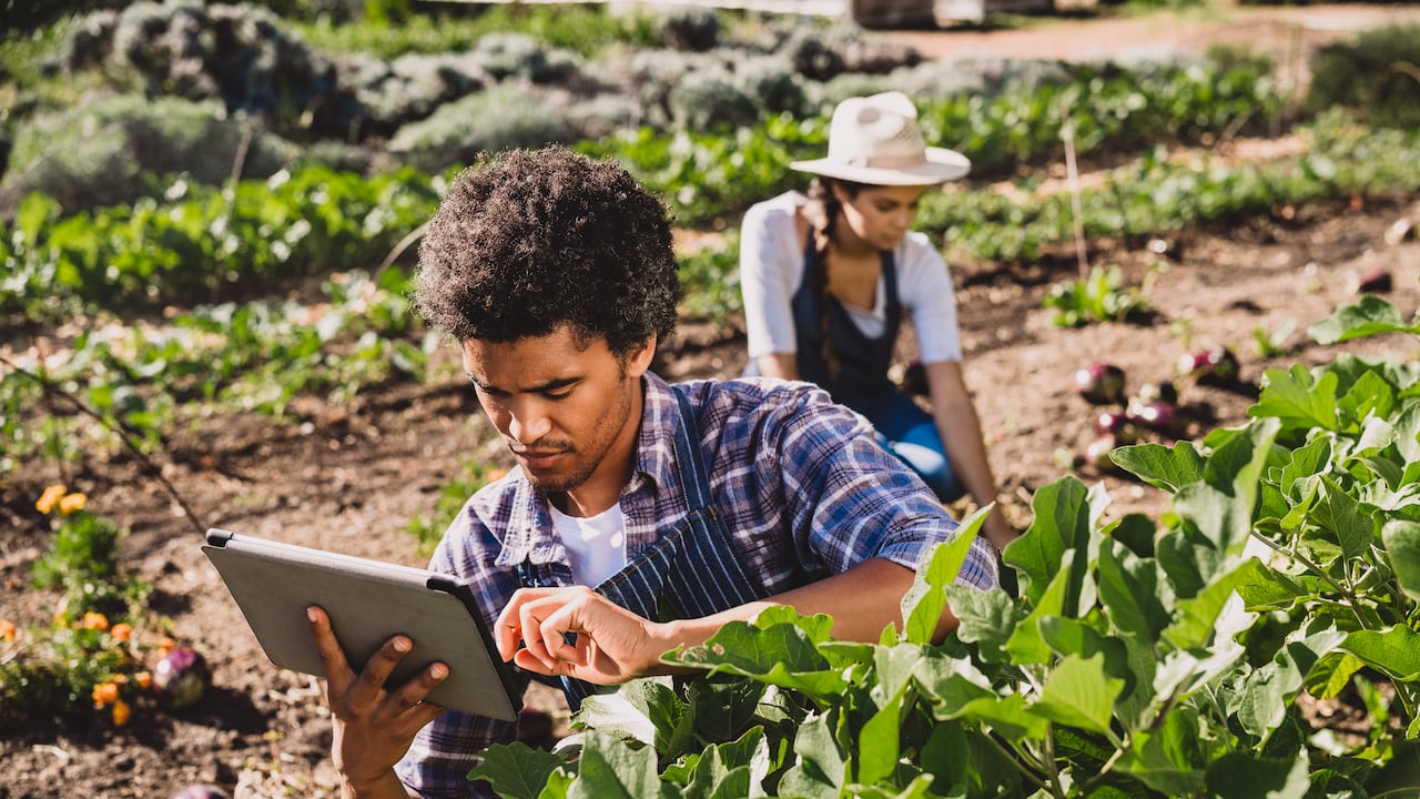 Claro Colombia fue recocida por la consultora Opensignal como el operador con la Mejor Experiencia de Cobertura 4G en Colombia.