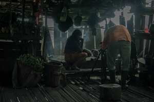 El segundo entierro de Alejandrino