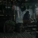 El segundo entierro de Alejandrino