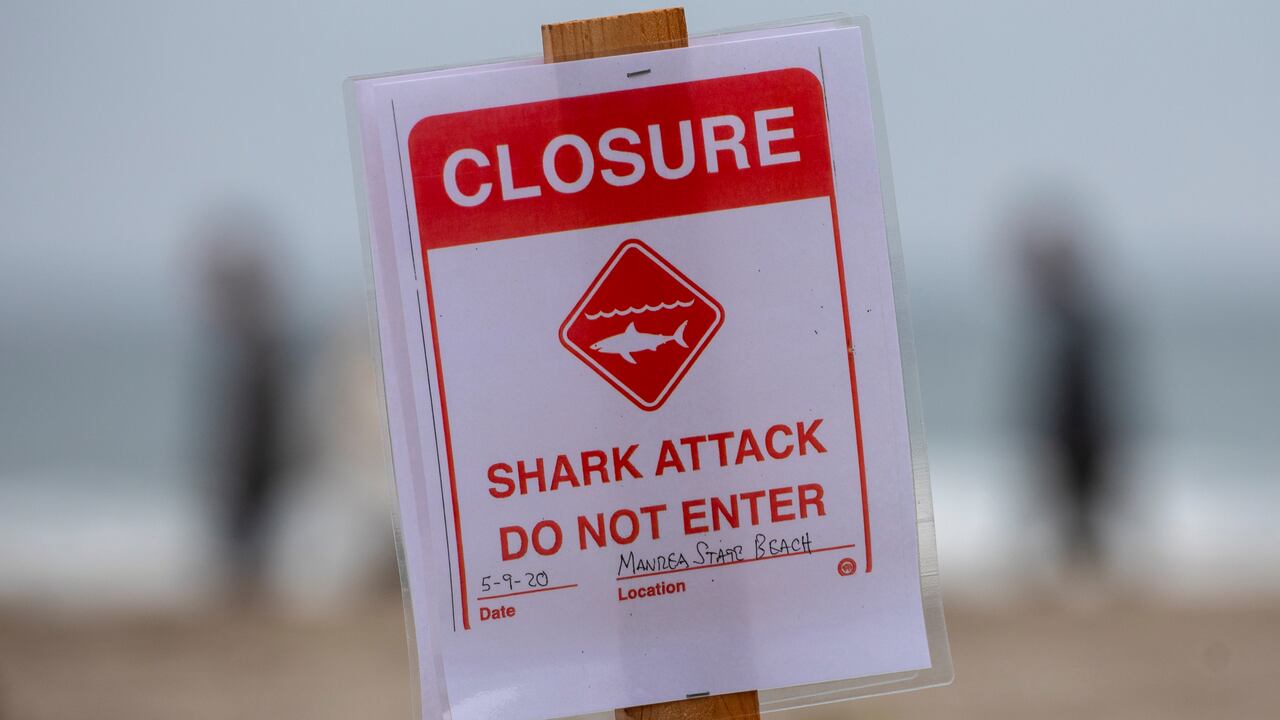 Tiburón ataca a surfista en California.