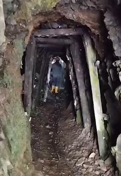 Minería ilegal estaba acabando con el parque natural Los Farallones en Cali.