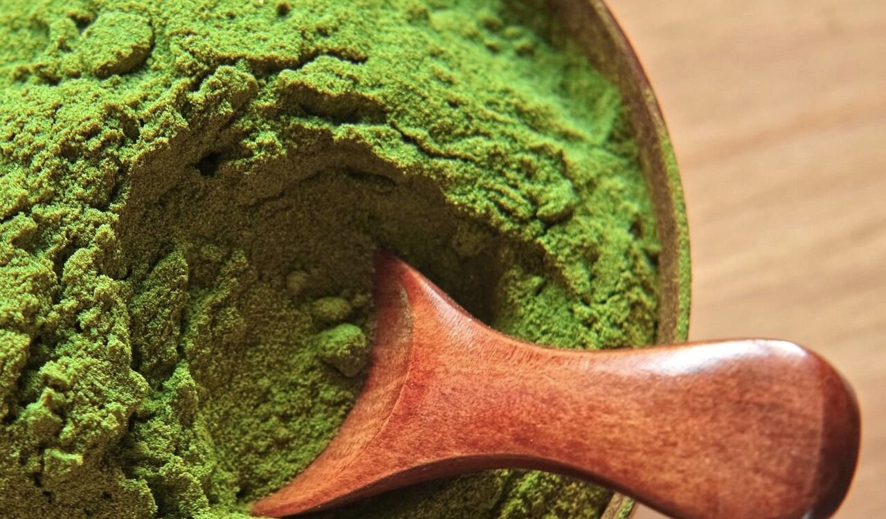 La moringa es una aliada para el organismo.