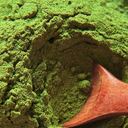 La moringa es una aliada para el organismo.