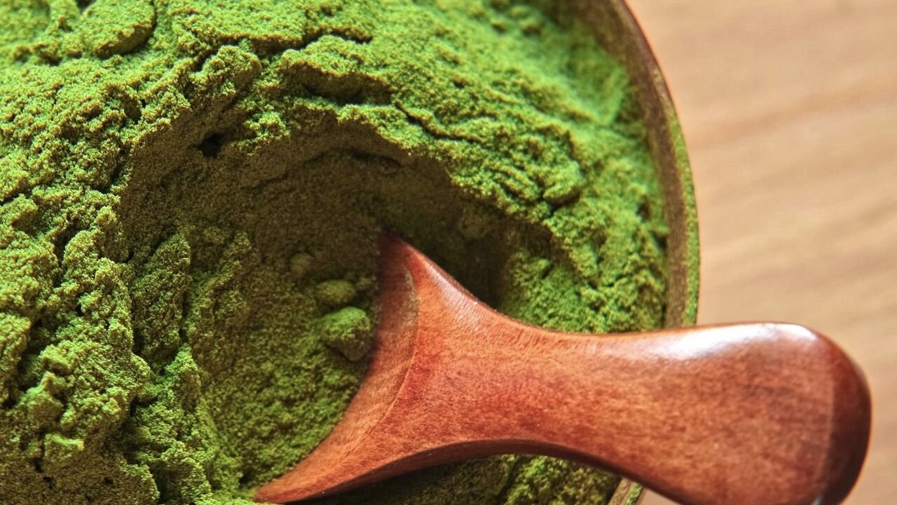 La moringa es una aliada para el organismo.