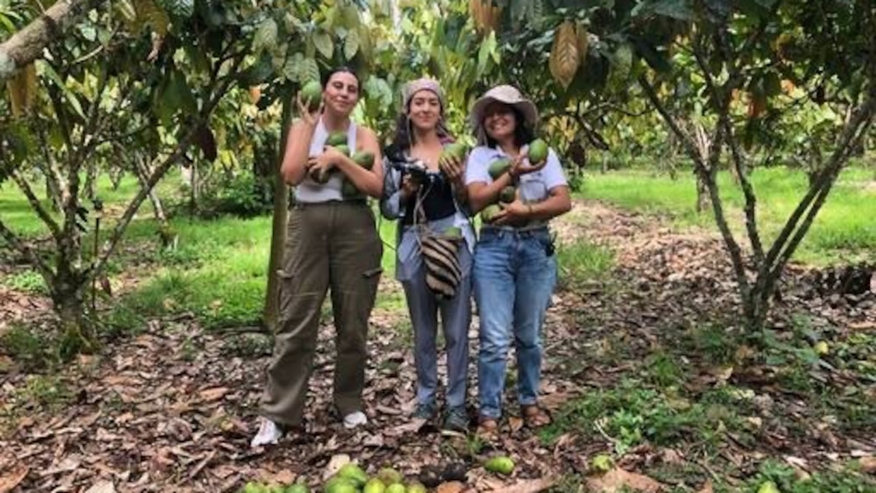 12 episodios para entender cómo se transforma la Amazonía colombiana