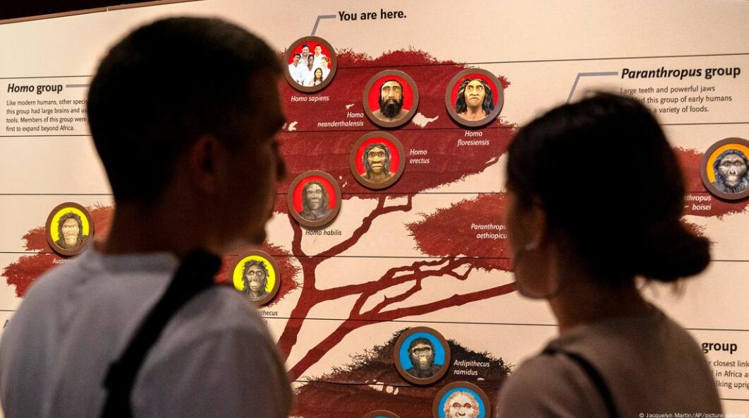 Investigadores hallan evidencia de que los humanos modernos surgieron de la fusión de dos poblaciones que divergieron hace 1,5 millones de años.