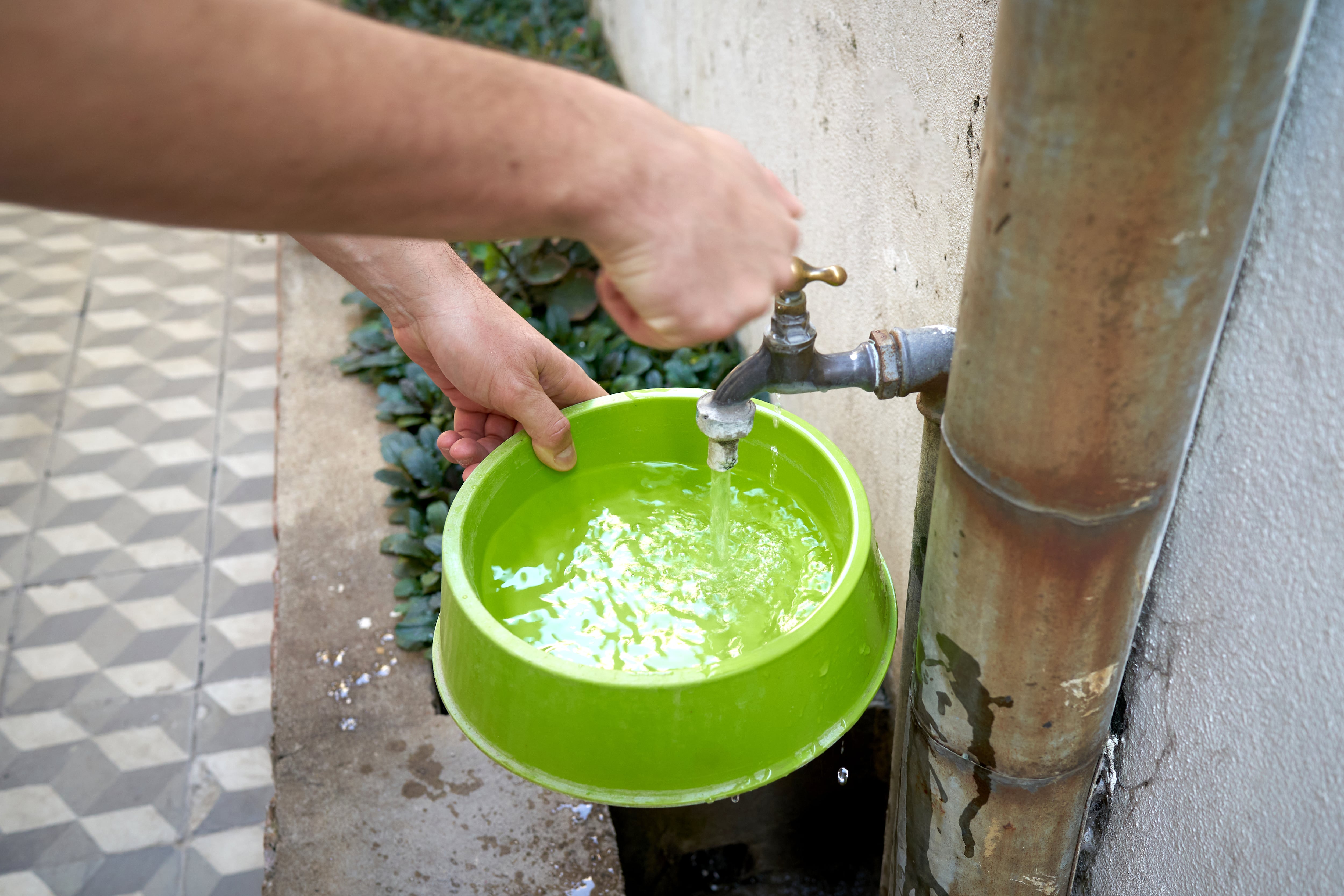Persona depositando agua en un recipiente.