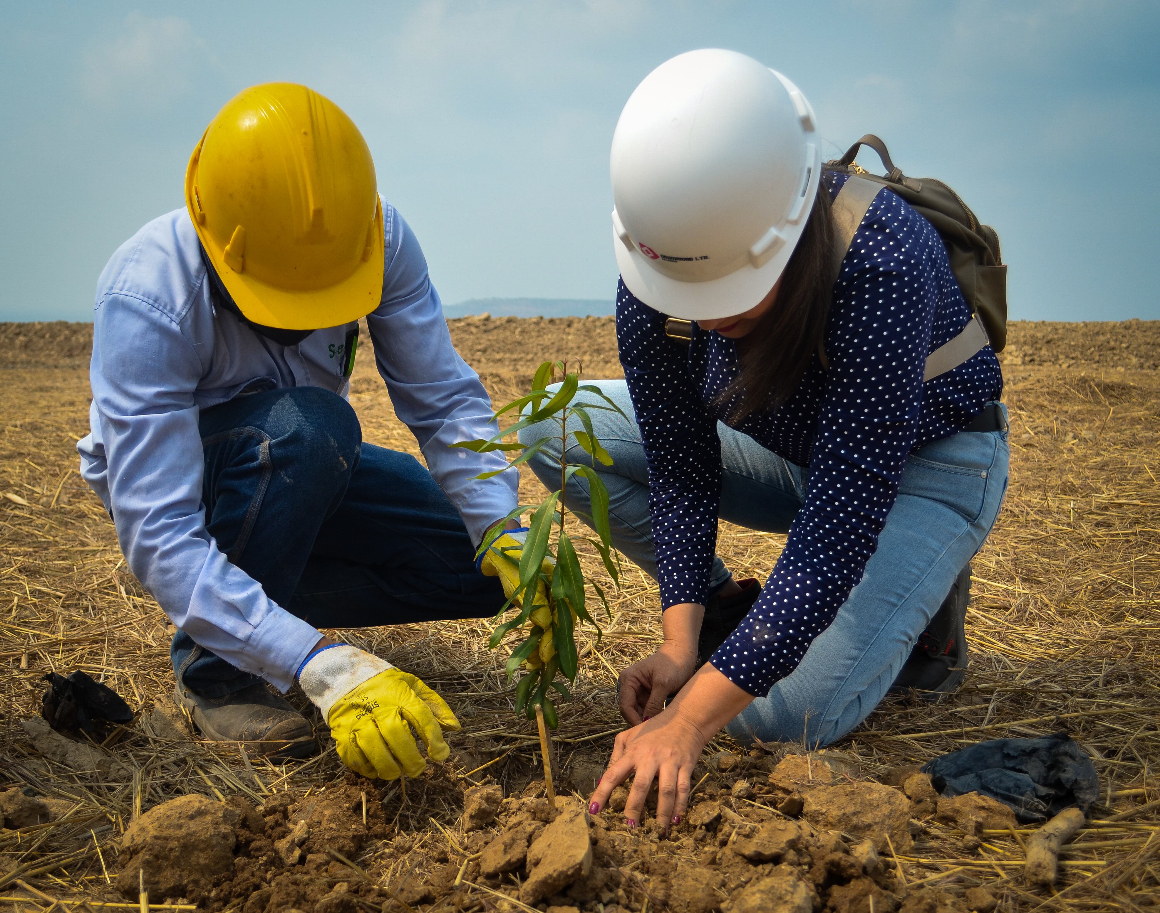 Drummond especial mineria