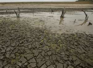 La temperatura y la precipitación son dos de las variables que marcan las tendencias de cambio climático. Por eso la medición constante de estos factores y el uso de ciertas metodologías permite generar unos escenarios de temperatura y precipitación para Colombia. ¿Cuáles son?