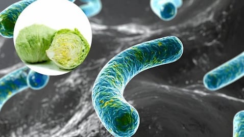 La Cyclospora cayetanensis es un parásito microscópico que puede causar ciclosporiasis, una infección asociada a diarrea intensa y prolongada.