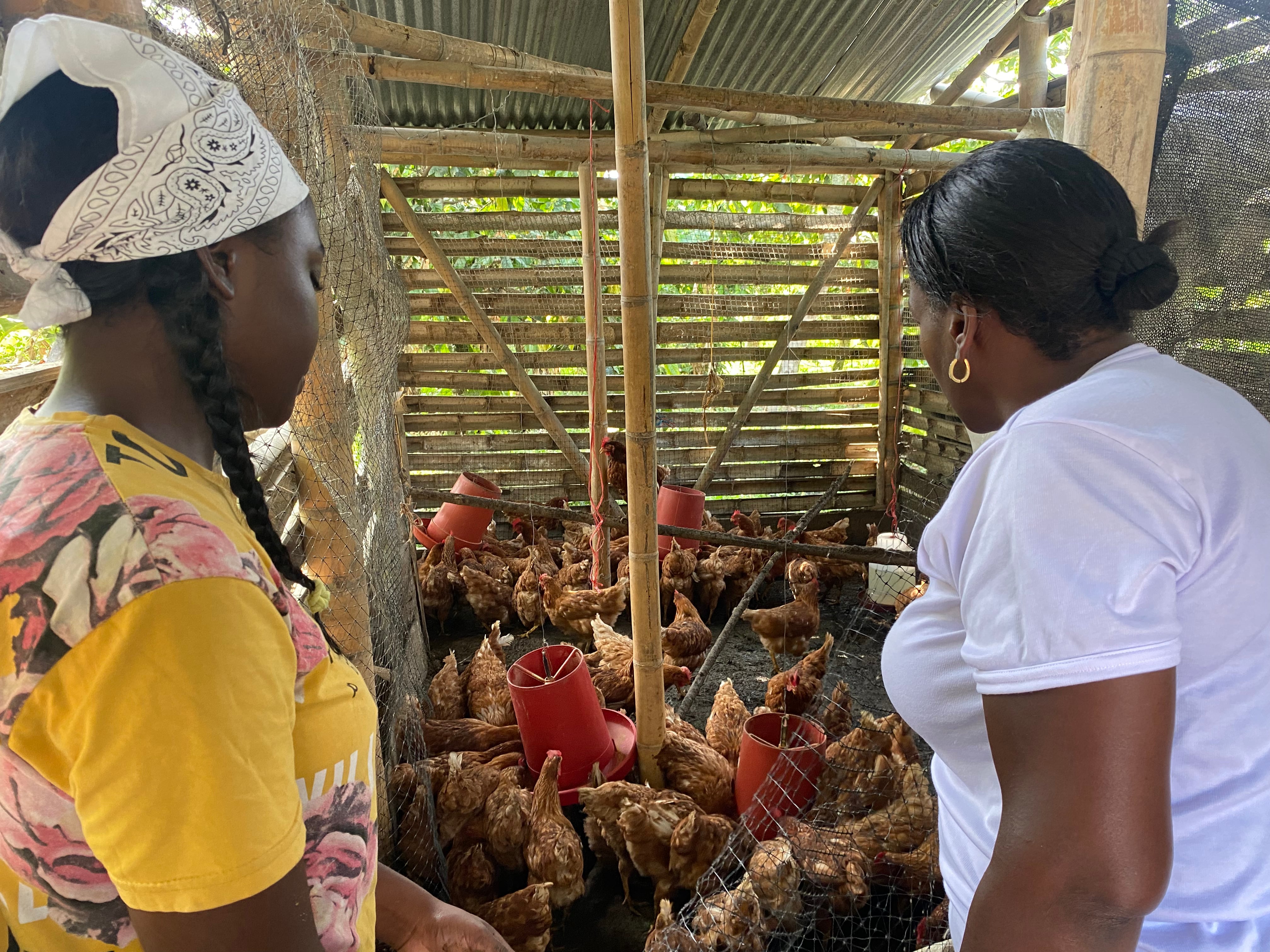 Contenido Riopaila, Viva la Caña, Semana Sostenible