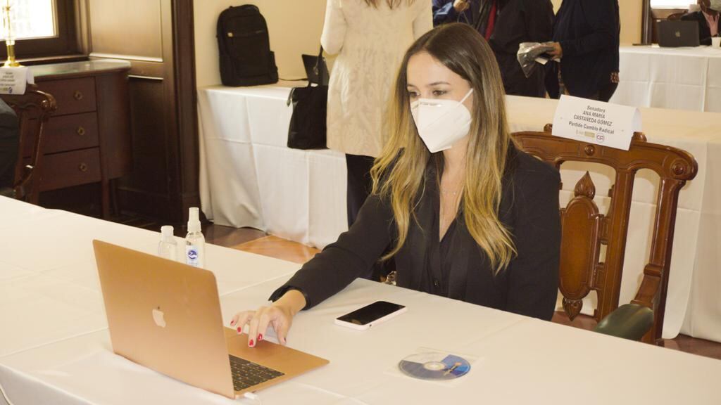 Ana María Castañeda