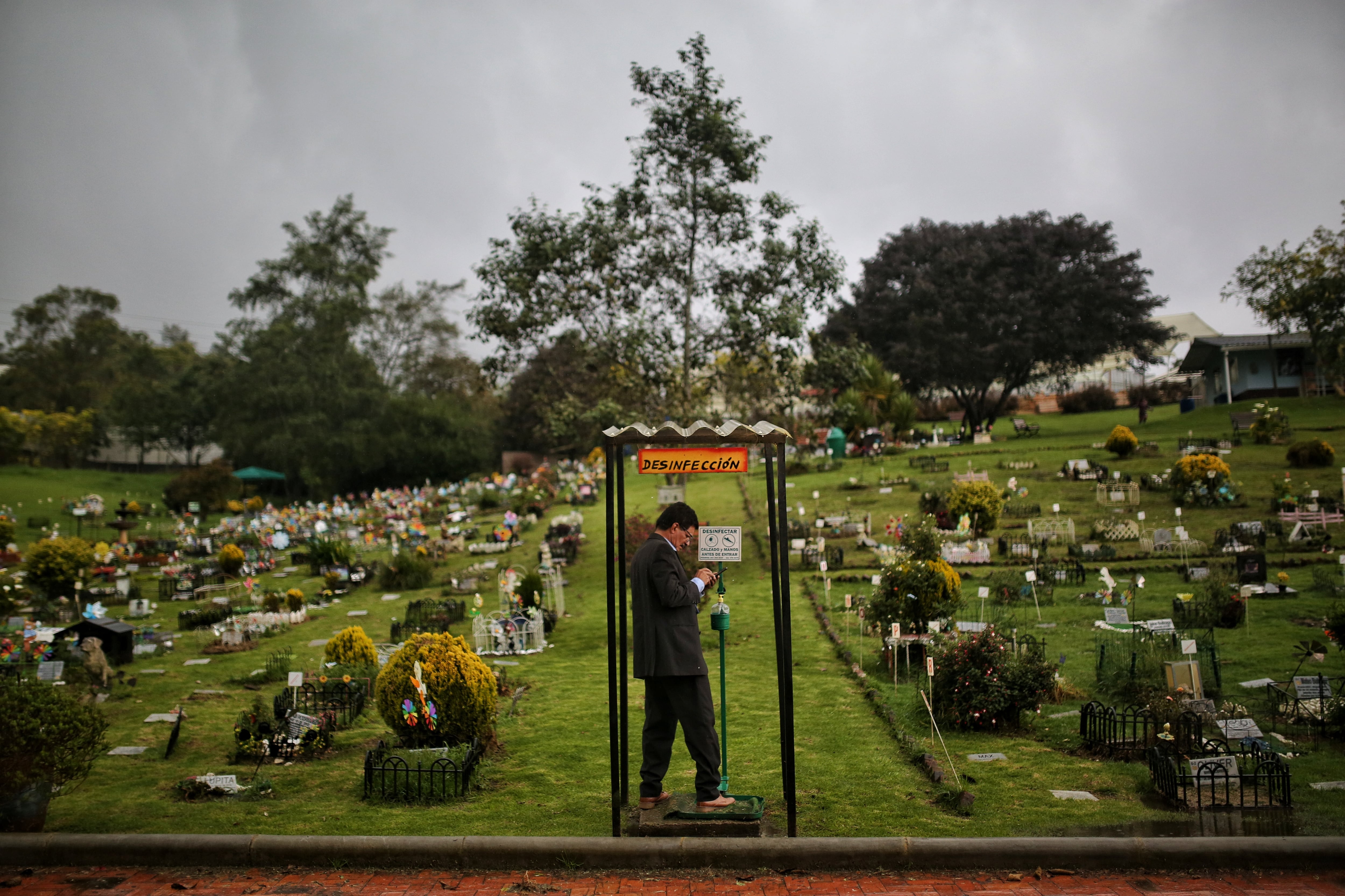 Cremación, exequias y cementerio de animales domésticos, perros y gatos