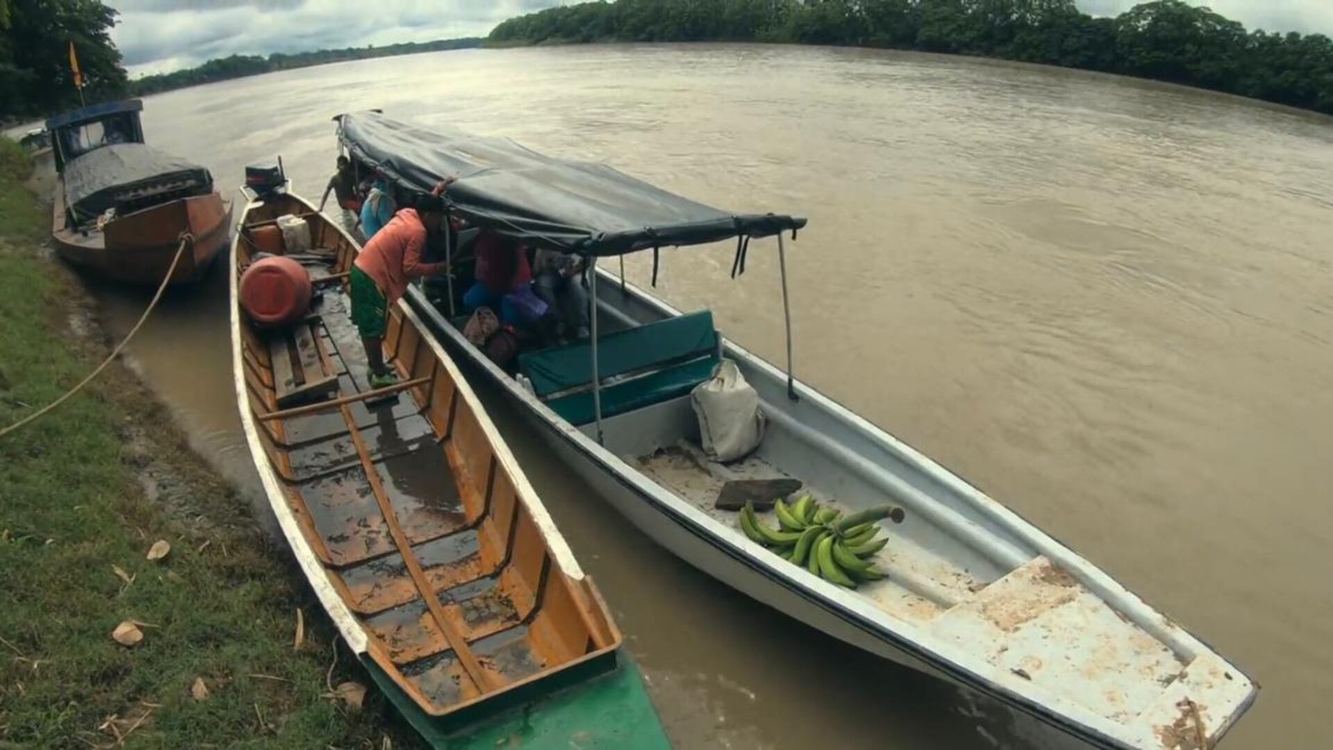 La llegada de las energías limpias debe estar acompañada de otras estrategias que estén en sintonía con la lucha contra la deforestación y el cambio climático.