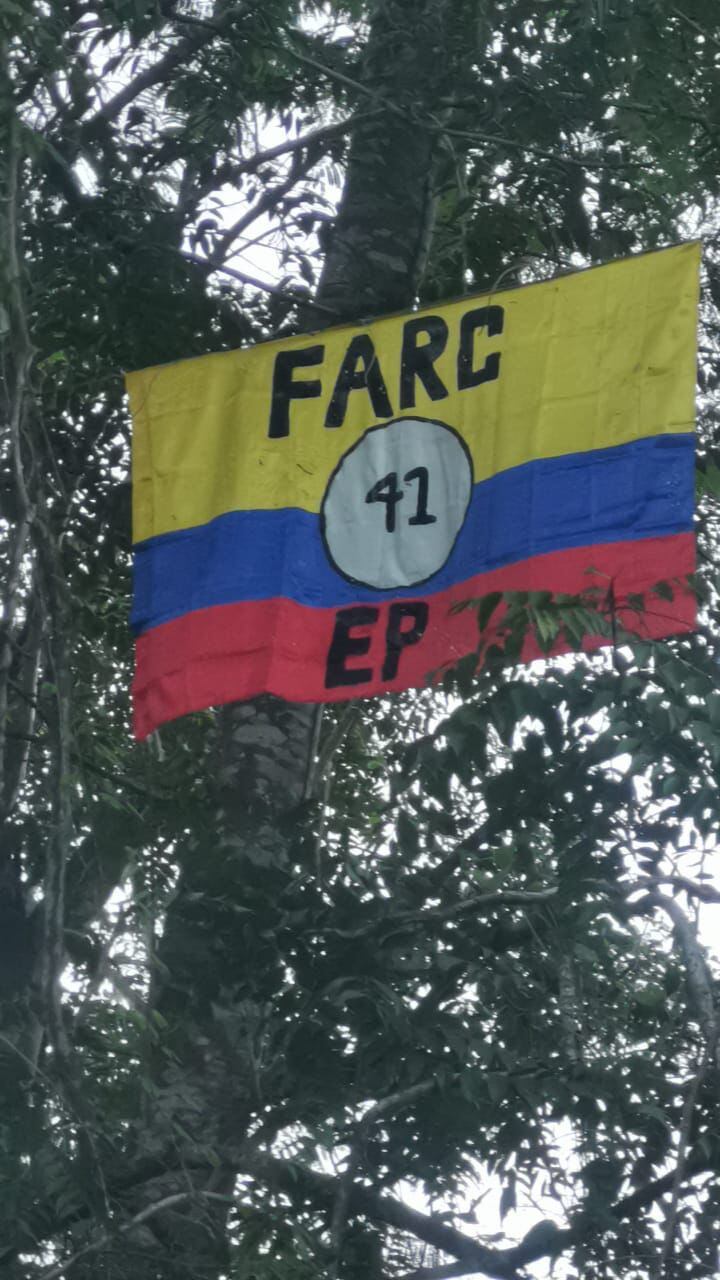 La bandera apareció en medio de árboles