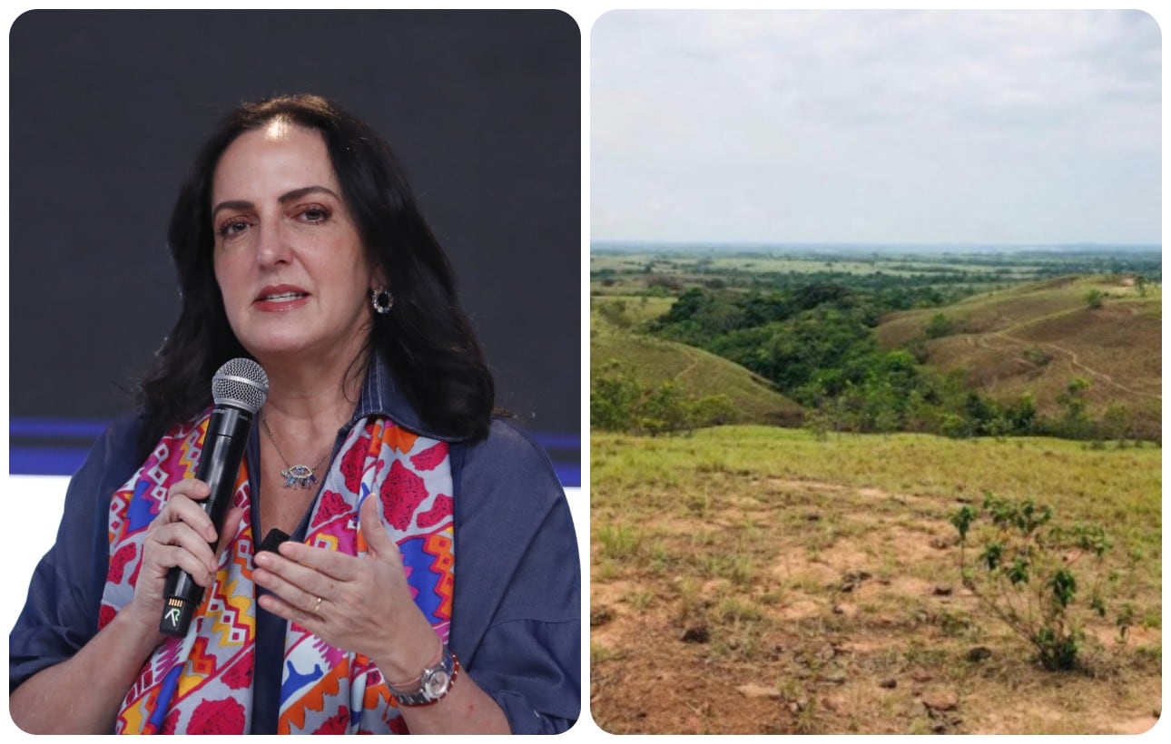 La senadora María Fernanda Cabal presentó cifras sobre la tenencia de la tierra en Colombia.