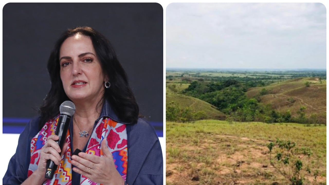 La senadora María Fernanda Cabal presentó cifras sobre la tenencia de la tierra en Colombia.