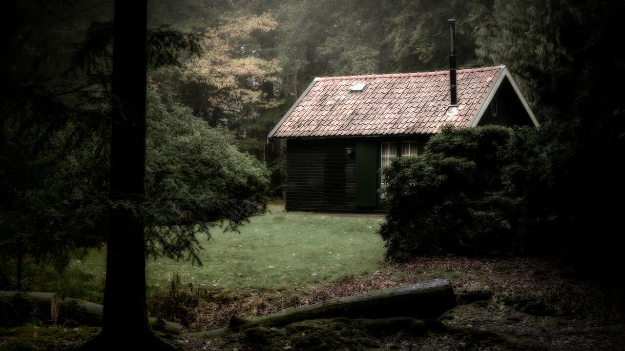 Imagen de referencia, no corresponde al caso en mención.