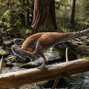 Vectidromeus insularis fue descubierto en la Isla de Wight.