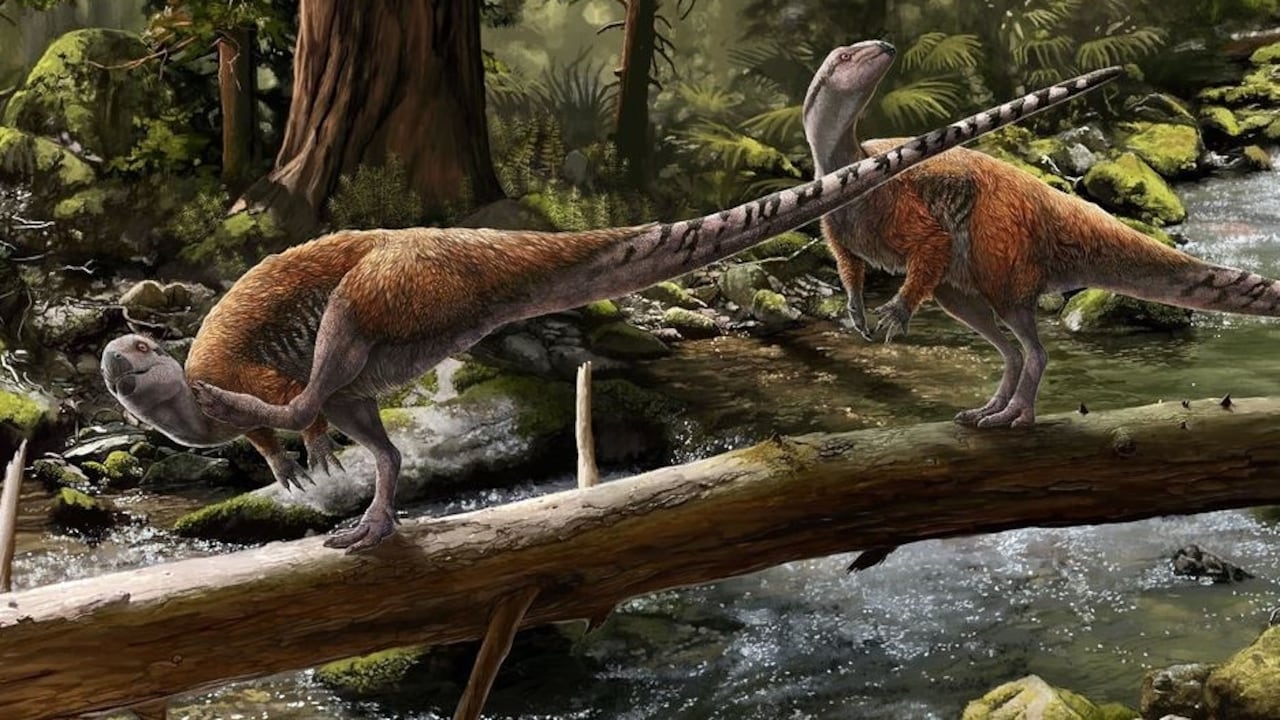 Vectidromeus insularis fue descubierto en la Isla de Wight.