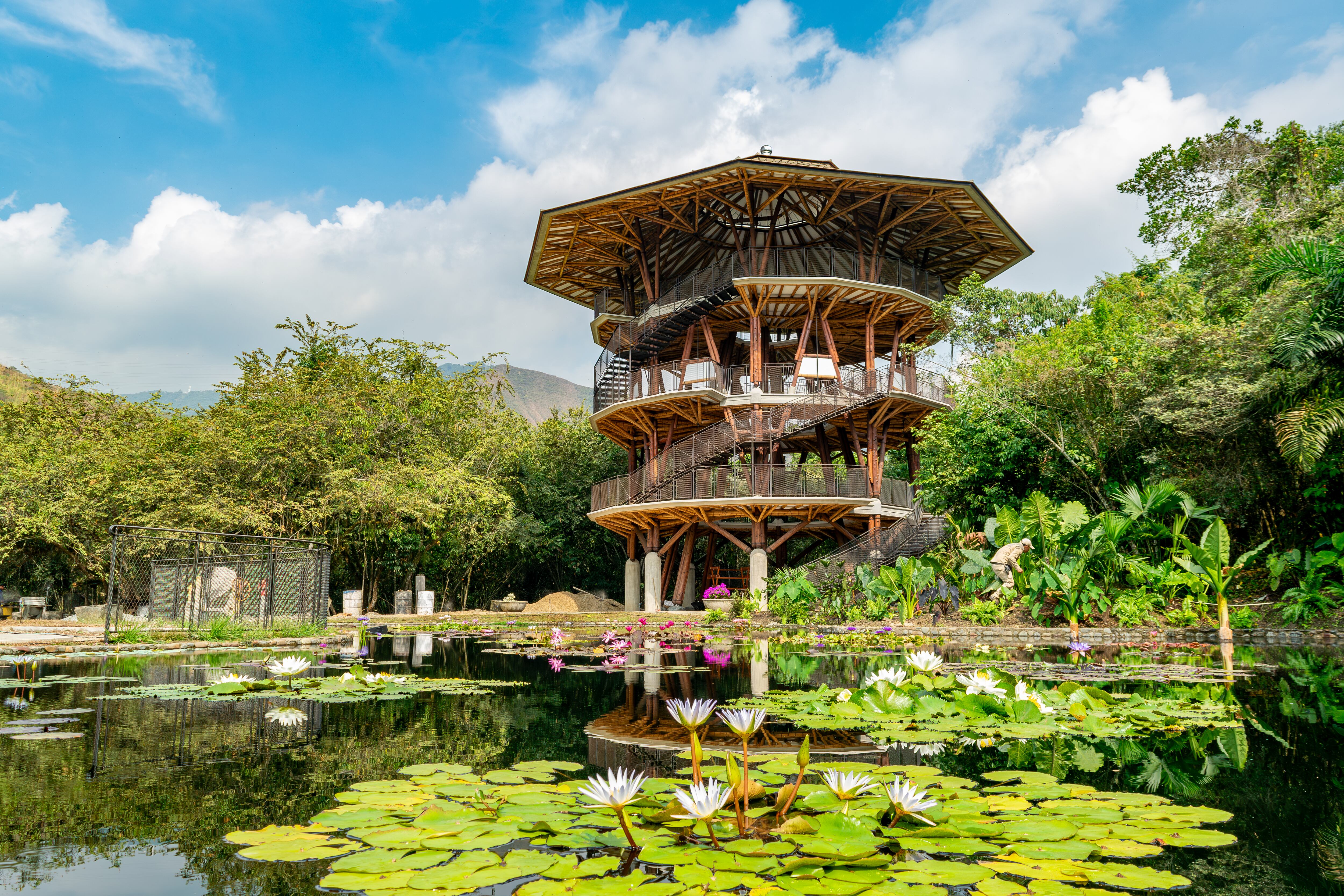 Especial Cali y Valle del Cauca, Editorial COP 16