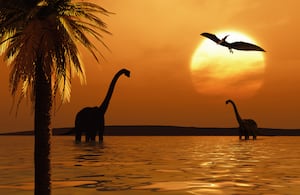 Poco después de la desaparición de los dinosaurios, la química del océano comenzó a cambiar de forma drástica.