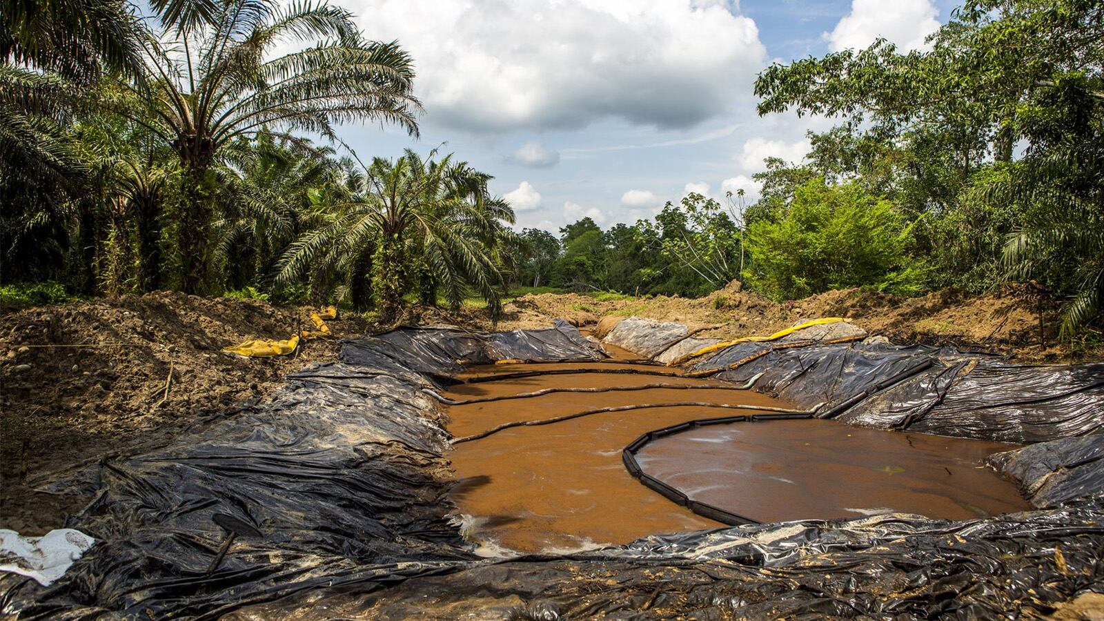 Greenpeace reclama a los Gobiernos europeos “una regulación estricta de la industria de las energías fósiles” para forzarla “a cambiar de rumbo” y “frenar todo nuevo proyecto de exploración petrolera y gasística” y “reducir su producción de combustibles fósiles”.