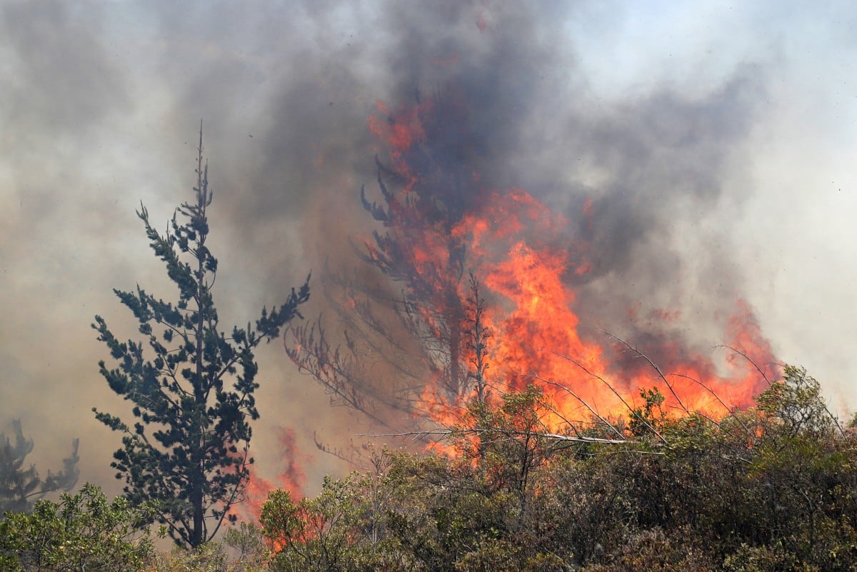 Intentar apagar un incendio forestal sin el equipo adecuado puede exponer a las personas.