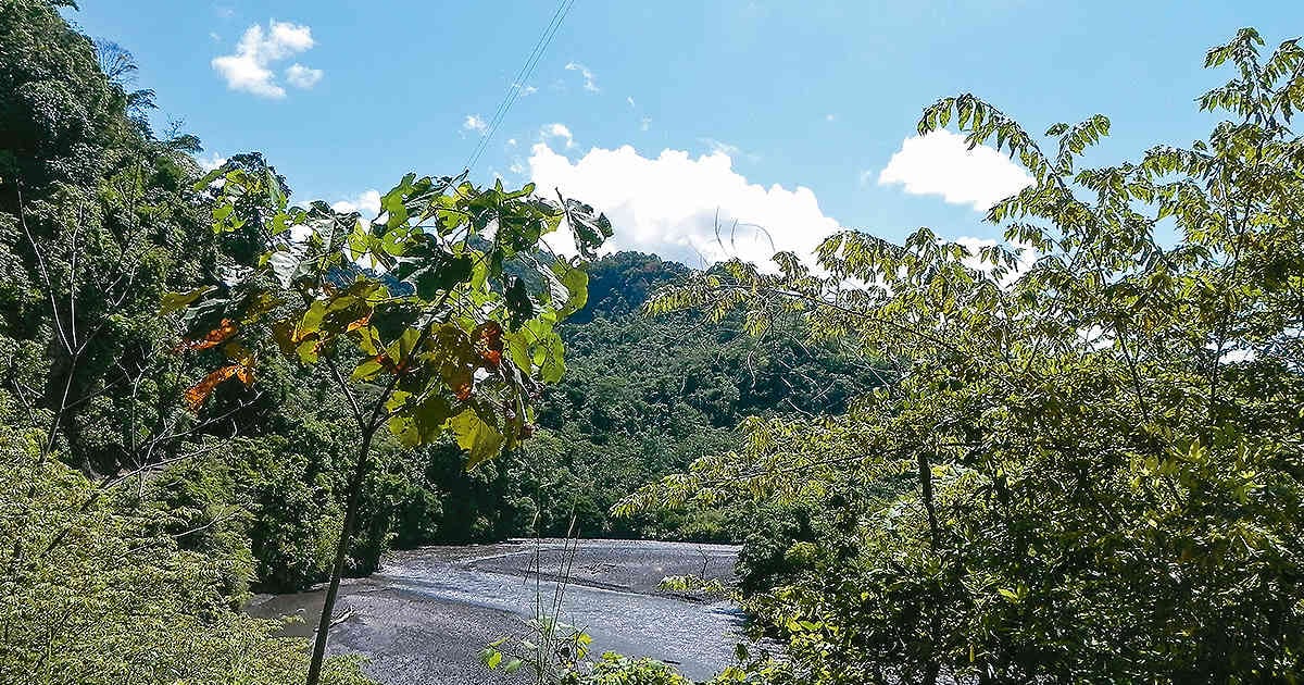 El Parque Natural Regional Serranía de las Quinchas es una de las reservas naturales más importantes de Boyacá. Foto: Archivo/Semana 
